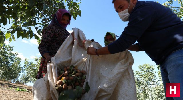 Mesleğini bıraktı köylünün de hayatını değiştirdi