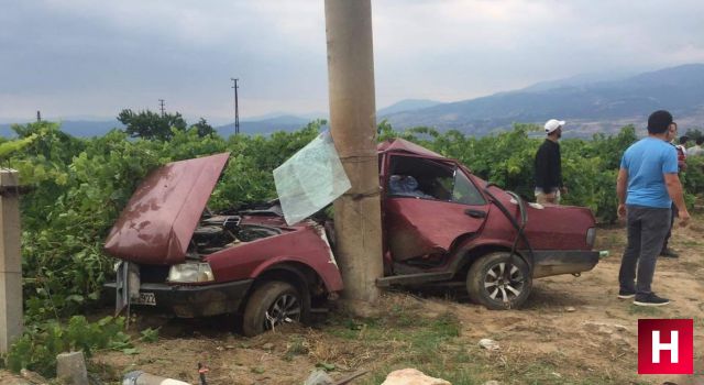 Elektrik direğine çarpan şahin ikiye bölündü