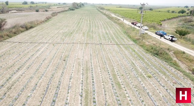 Kuruyan Marmara Gölü'nde arazi kavgası devam ediyor