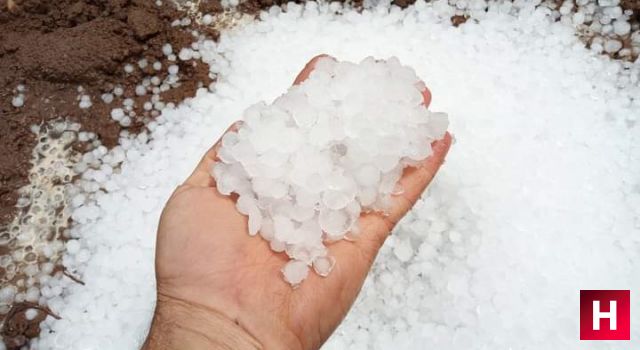 Manisa'da iki ilçede dolu yağışı bağlara zarar verdi