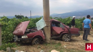 Elektrik direğine çarpan şahin ikiye bölündü