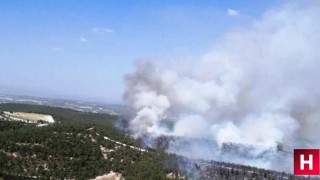 1 uçak, 3 helikopter, 8 arazöz yangına müdahale ediyor